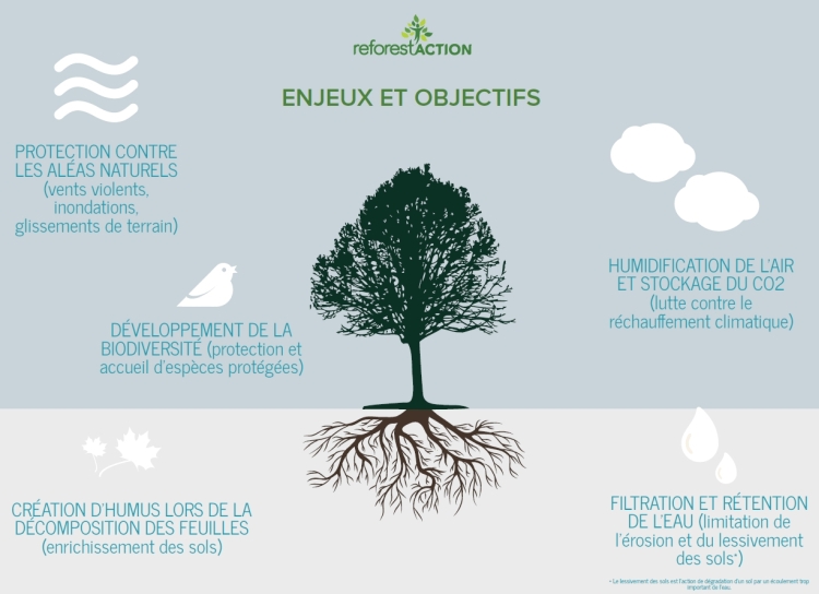 Tonnellerie Rousseau - Reforestaction bis