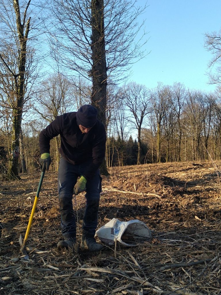 Actualité Tonnellerie Rousseau - La Tonnellerie Rousseau s’engage aux côtés de Reforest’Action